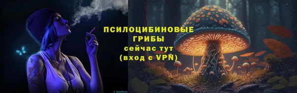 2c-b Новодвинск