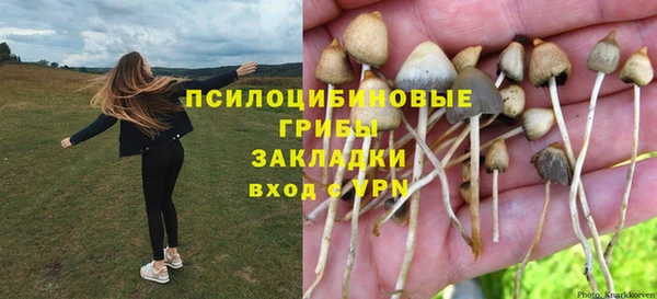 2c-b Новодвинск