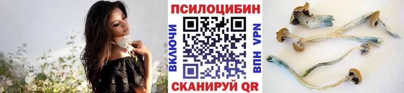 Галлюциногенные грибы MAGIC MUSHROOMS  Верхняя Салда 