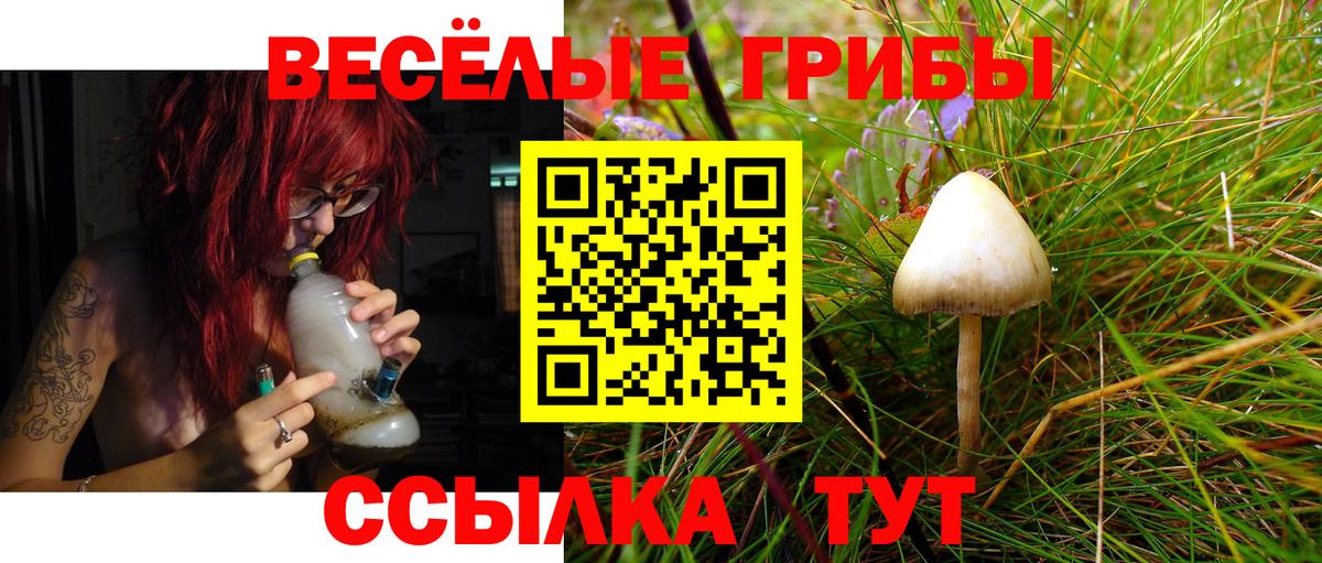 Верхняя Салда  Галлюциногенные грибы Psilocybine cubensis  Вход с VPN 