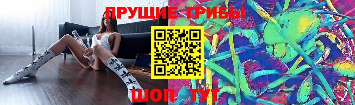 Галлюциногенные грибы MAGIC MUSHROOMS  как найти закладки  Верхняя Салда 
