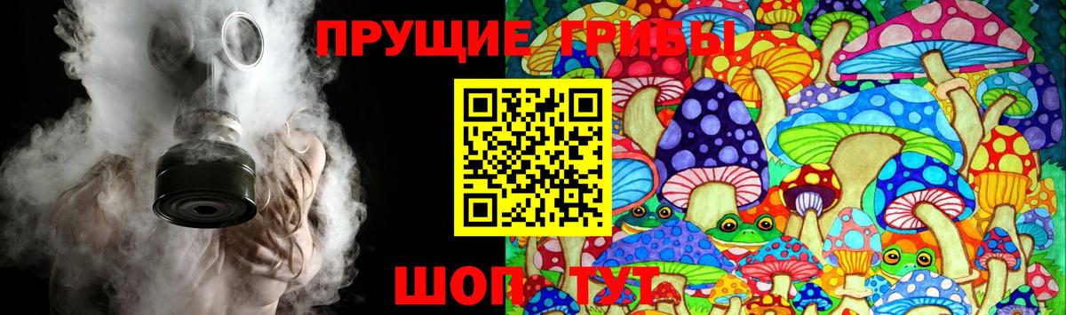 Псилоцибиновые грибы Cubensis Верхняя Салда