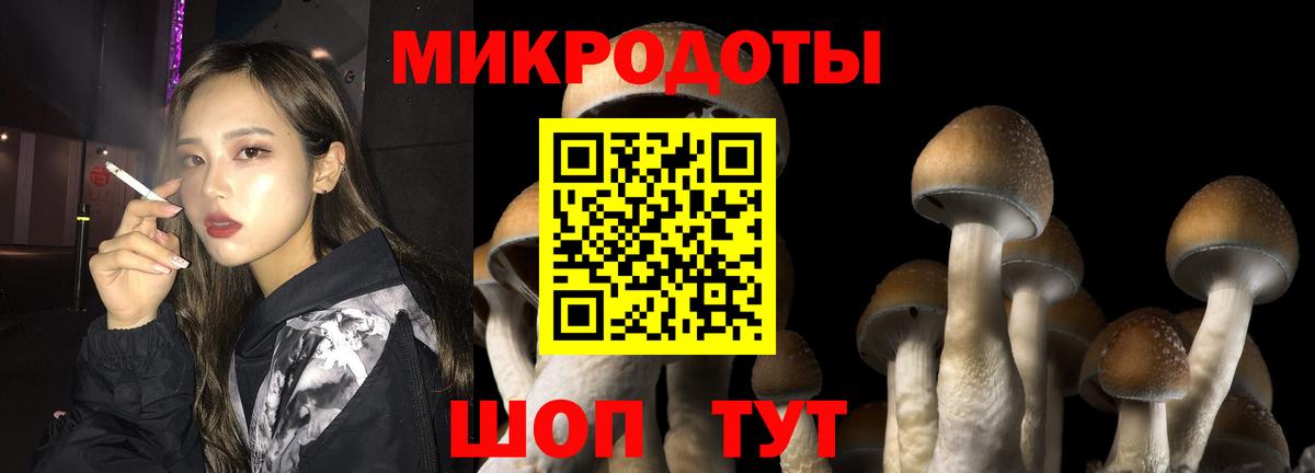 Псилоцибиновые грибы ЛСД Верхняя Салда
